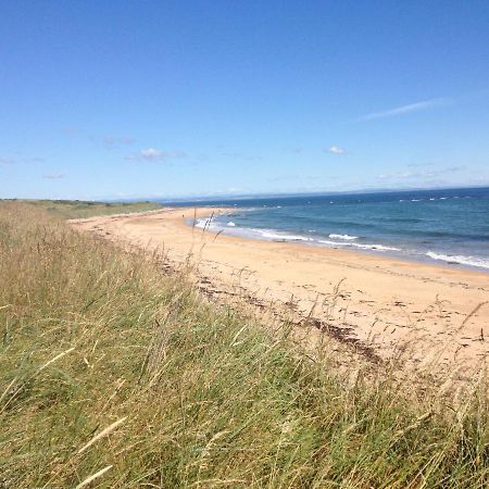 Coastal Cottage Ideal For Golf, Walking And Cycling Kingsbarns Buitenkant foto